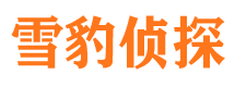 伊吾侦探公司